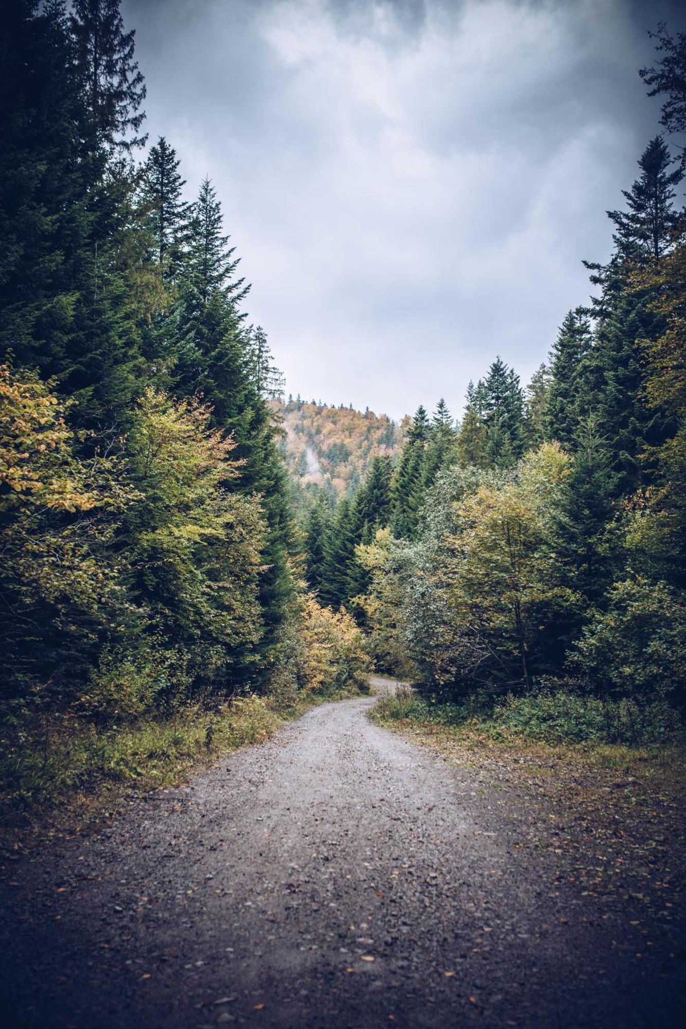 Losiowka Bystre  Bagian luar foto
